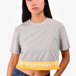 Opening Ceremony Gray and Yellow Crop T-Shirt